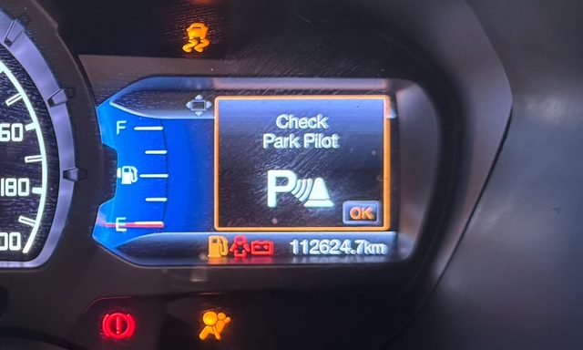 Check Park Pilot — Ford